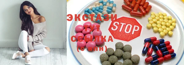 индика Вязьма