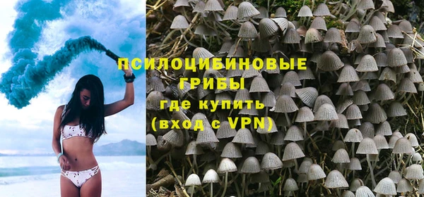 ПСИЛОЦИБИНОВЫЕ ГРИБЫ Верхний Тагил