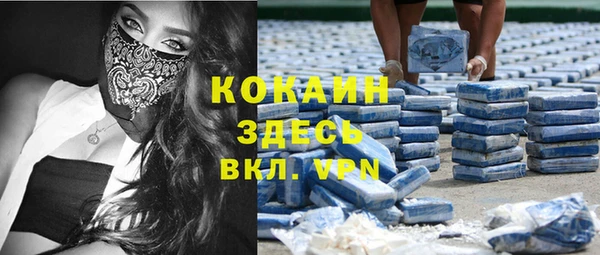 амф Вяземский
