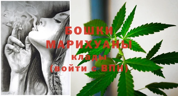 mdpv Волоколамск