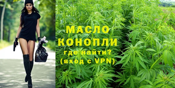 индика Вязьма