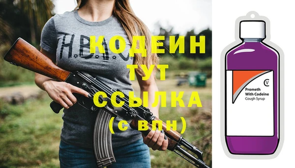 индика Вязьма
