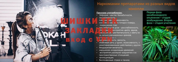 mdpv Волоколамск