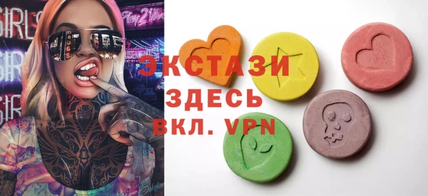 индика Вязьма