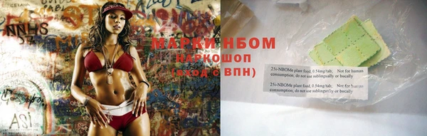 ПСИЛОЦИБИНОВЫЕ ГРИБЫ Верхний Тагил